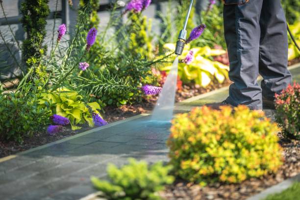 Best Parking Lot and Garage Cleaning  in Lock Haven, PA